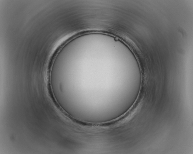 X0000113551077200909180954
