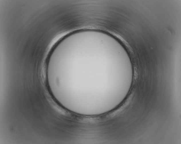 X0000113551078200909180954