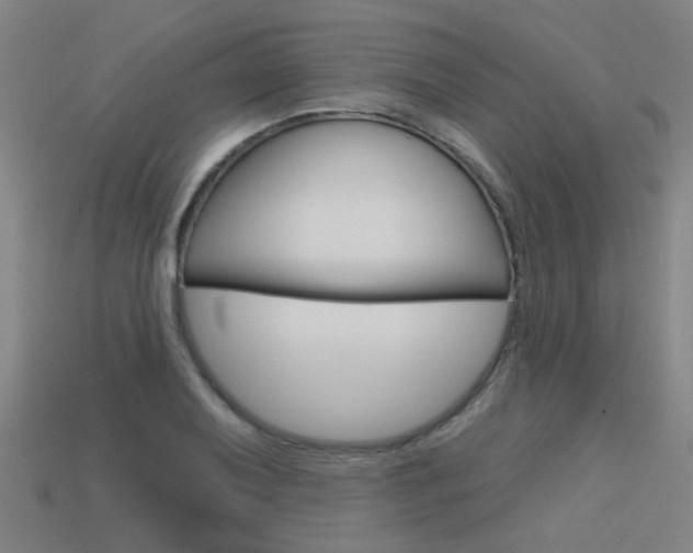 X0000113551079200909180954