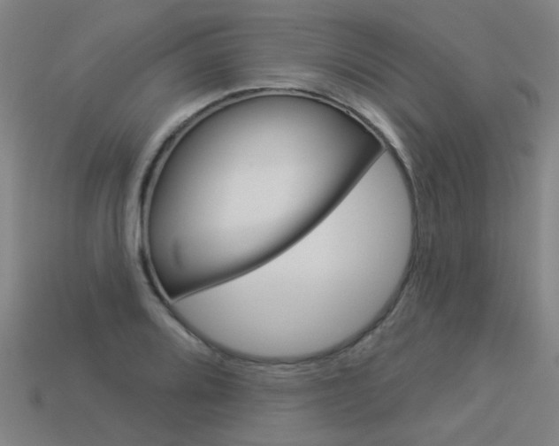 X0000113551080200909180954