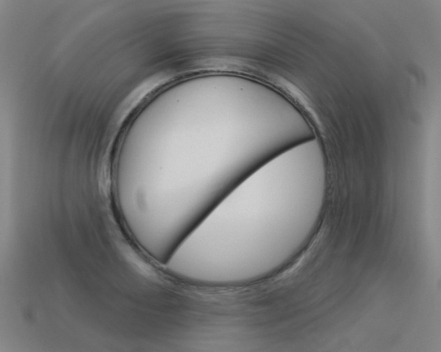 X0000113551082200909180954