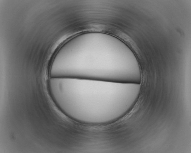 X0000113551083200909180954