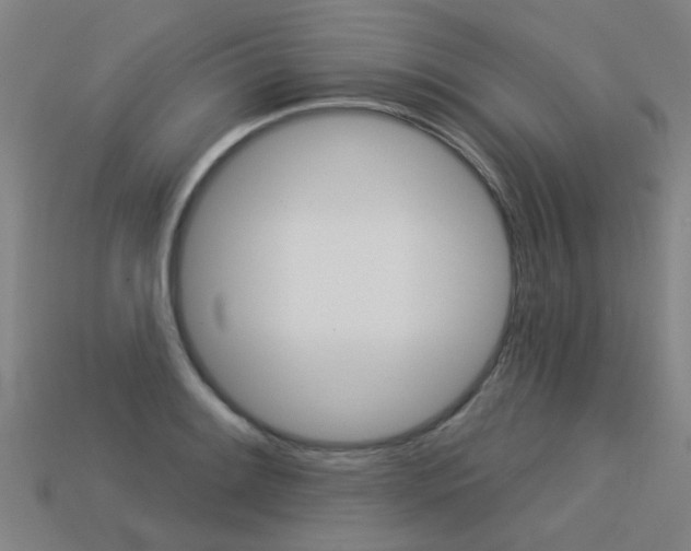 X0000113551084200909180954