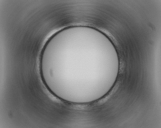 X0000113551086200909180954