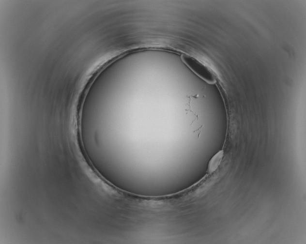 X0000113551088200909180954