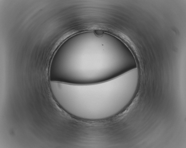 X0000113551089200909180954