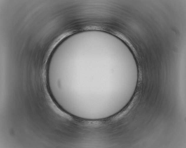 X0000113551090200909180954