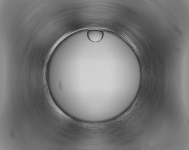 X0000113551092200909180954