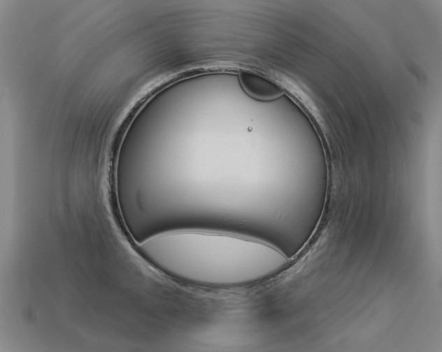X0000113551093200909180954