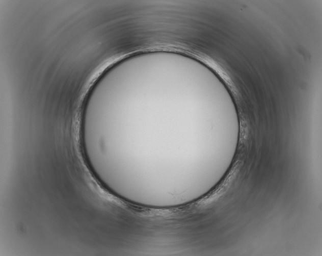 X0000113551094200909180954