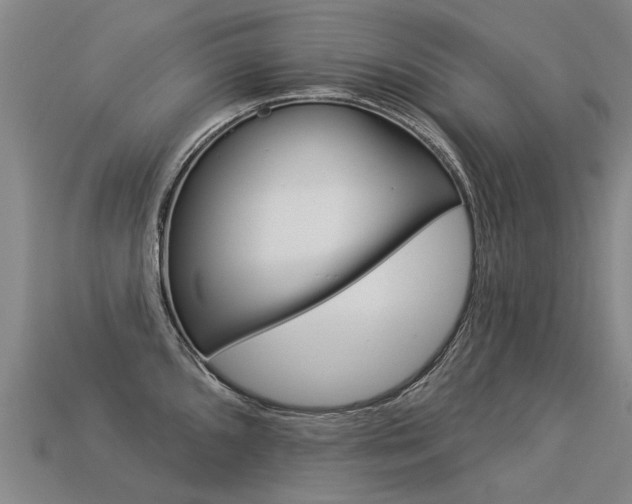 X0000113551096200909180954
