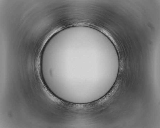 X0000113551098200909180954