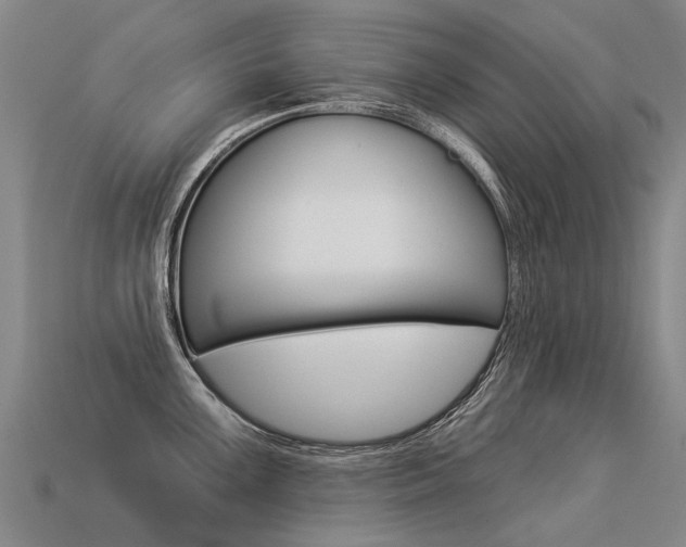 X0000113551099200909180954