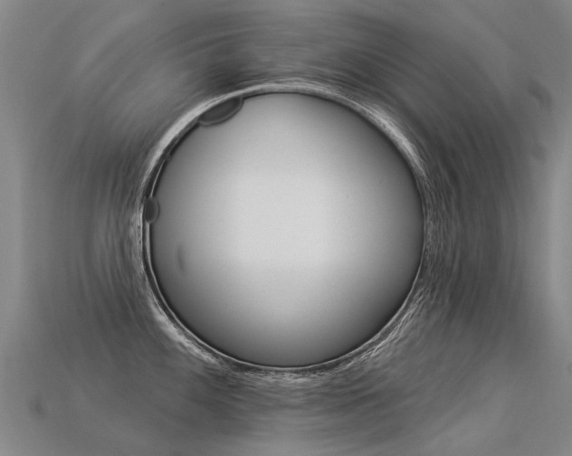 X0000113551100200909180954