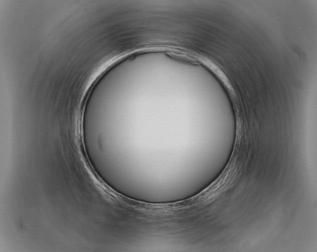 X0000113551101200909180954