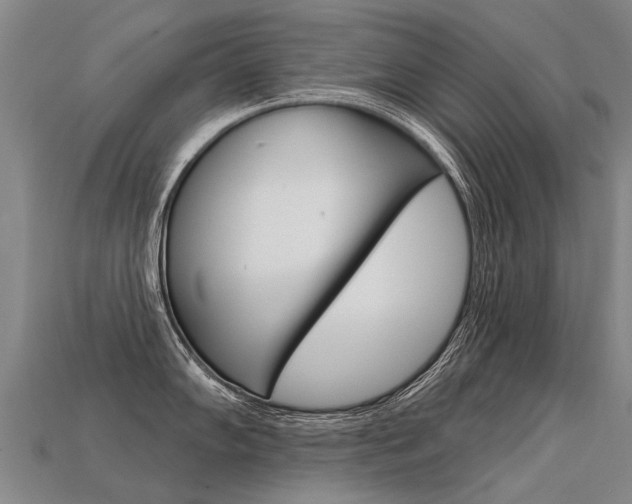 X0000113551102200909180954