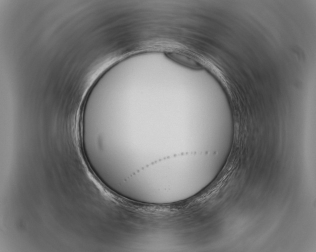 X0000113551103200909180954