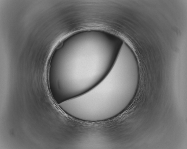 X0000113551104200909180954