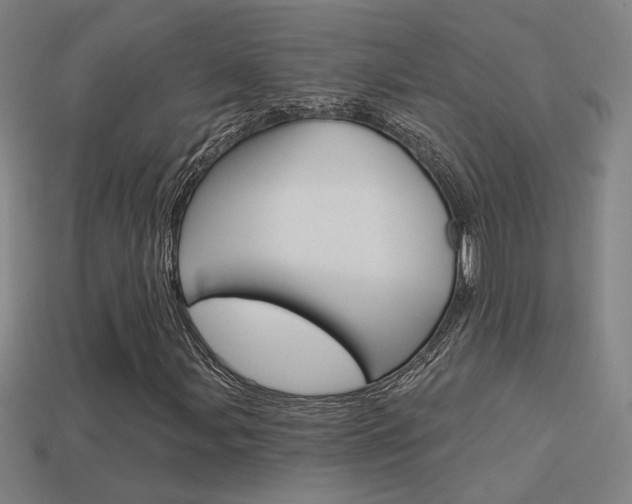 X0000113551107200909180953