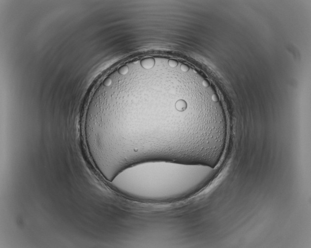 X0000113551113200909180953