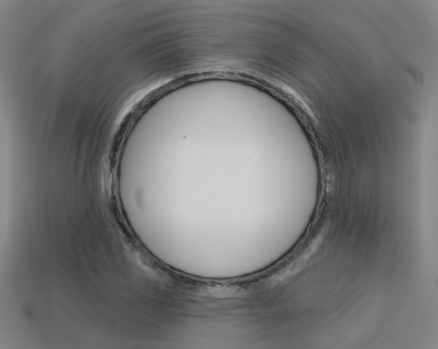 X0000113551117200909180953