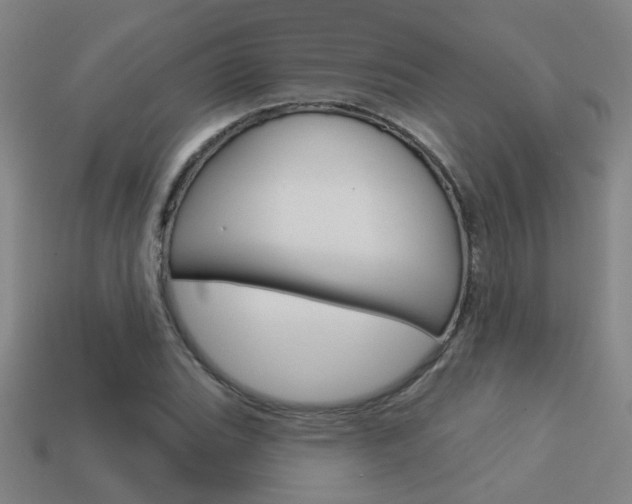 X0000113551119200909180953