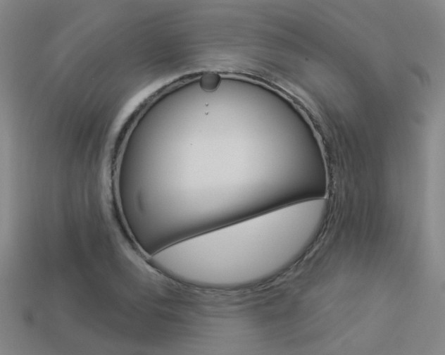 X0000113551120200909180953