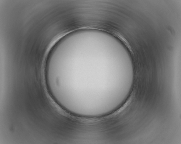 X0000113551122200909180953