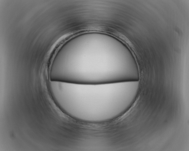 X0000113551123200909180954