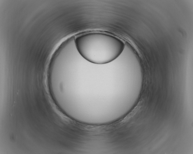 X0000113551124200909180954
