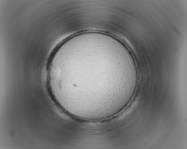 X0000113551125200909180954