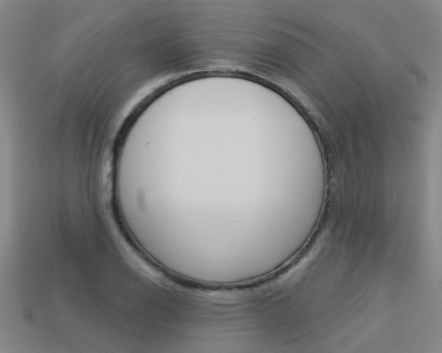 X0000113551126200909180954