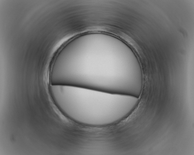 X0000113551127200909180954