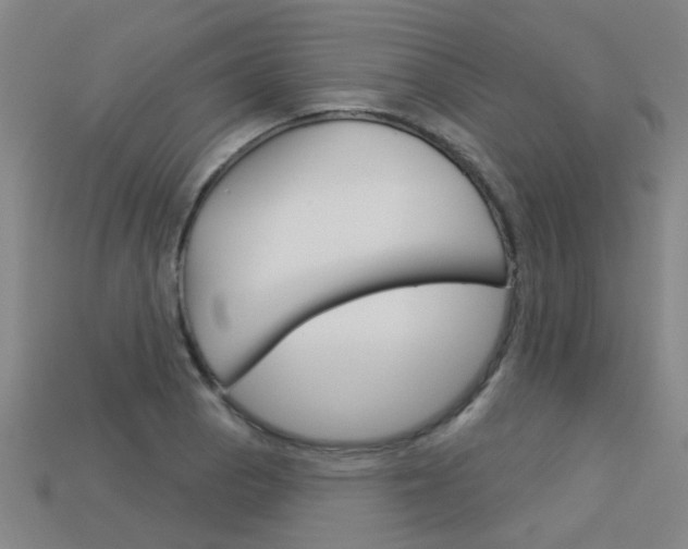 X0000113551129200909180954