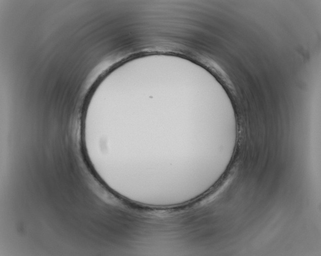 X0000113551130200909180954