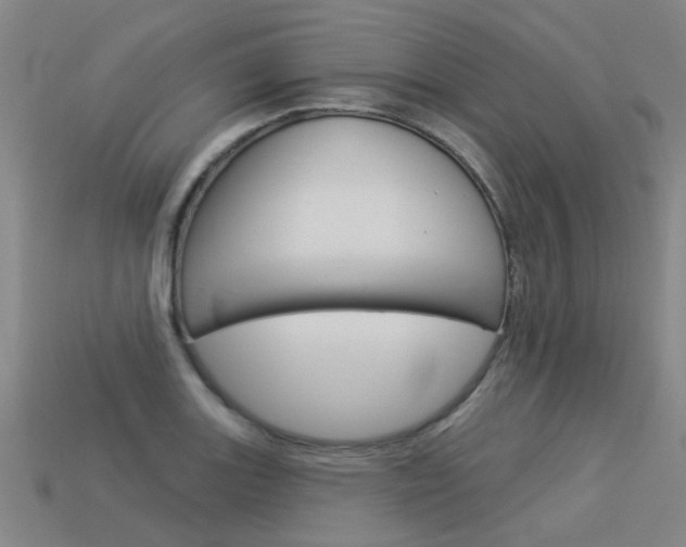 X0000113551131200909180954