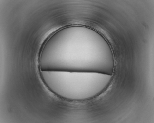 X0000113551133200909180954