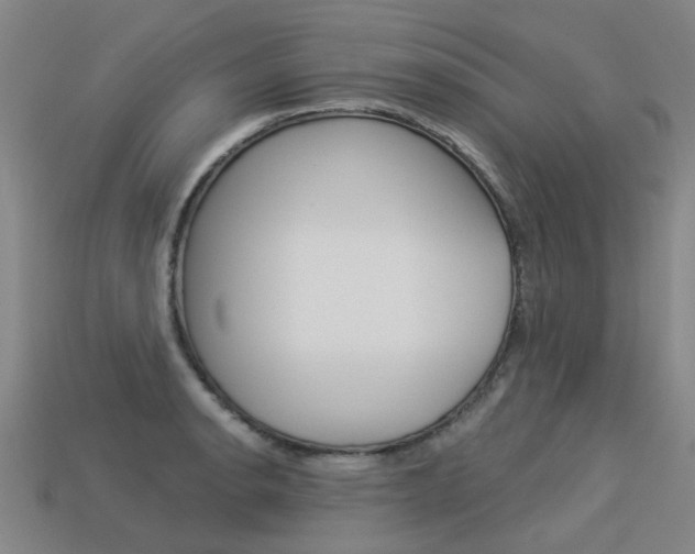 X0000113551134200909180954
