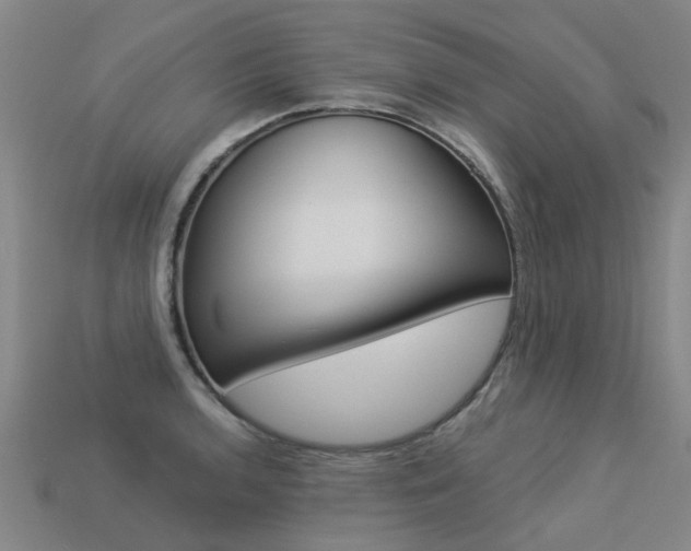 X0000113551136200909180954