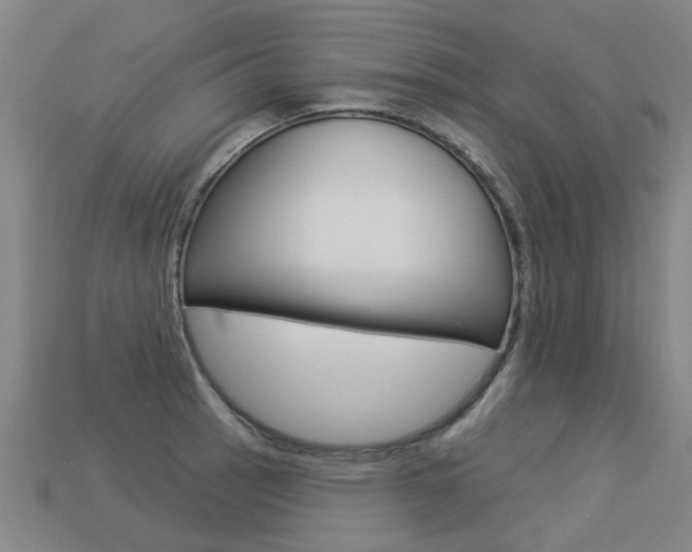 X0000113551137200909180954