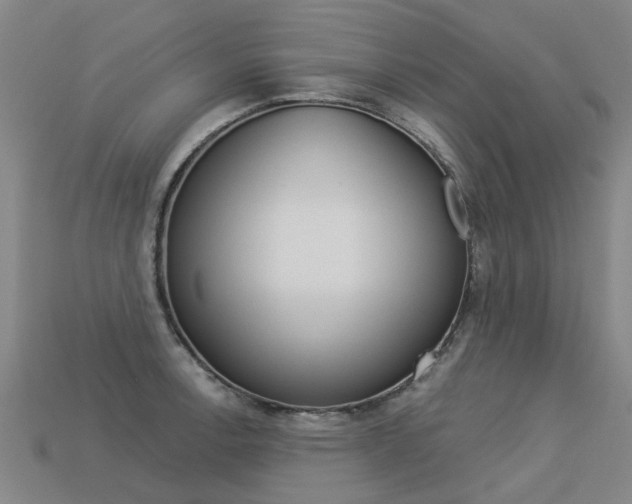 X0000113551138200909180954