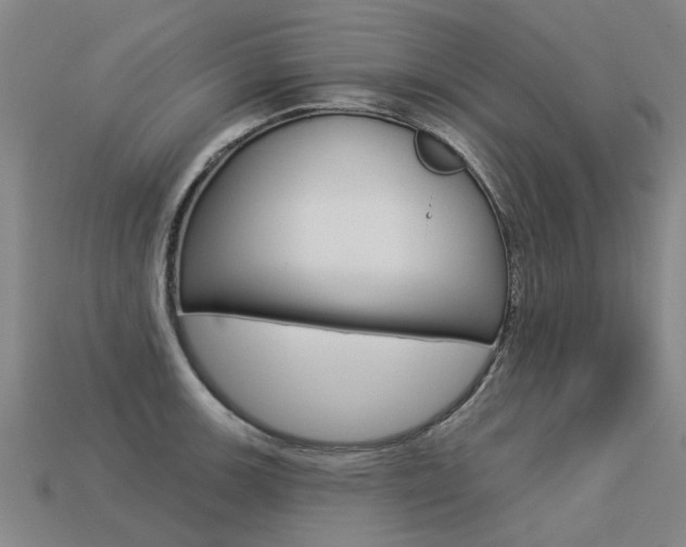 X0000113551139200909180954