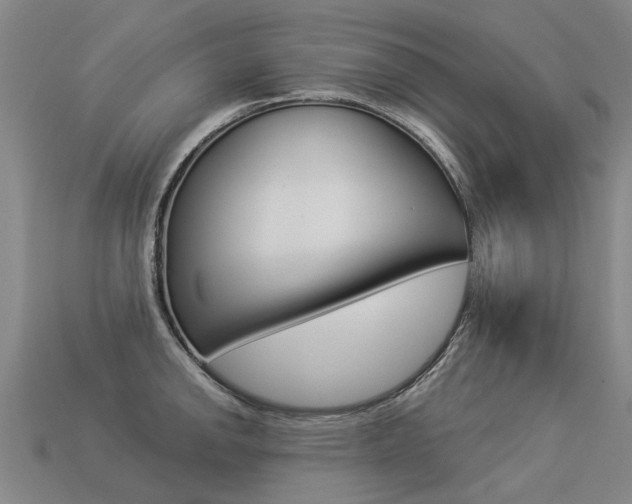 X0000113551142200909180954