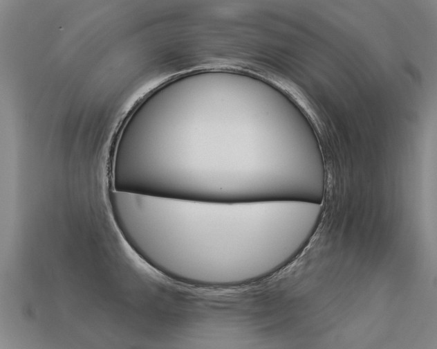 X0000113551143200909180954