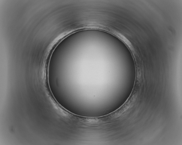 X0000113551144200909180954