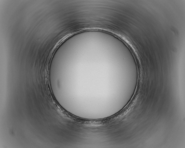 X0000113551145200909180954