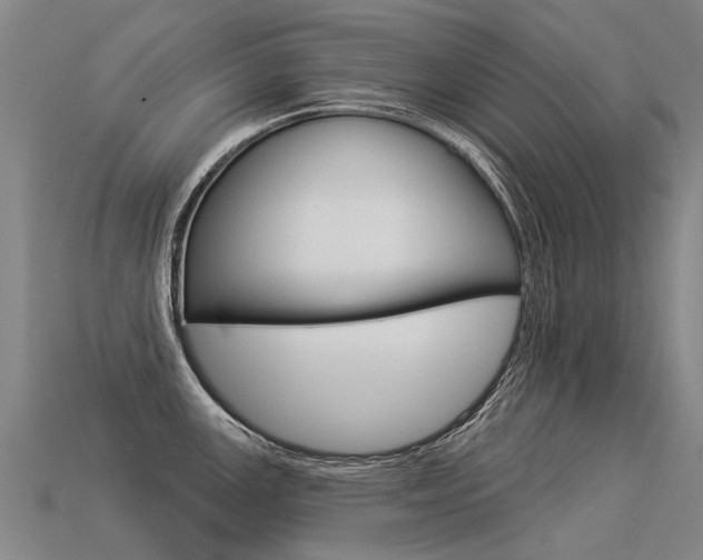 X0000113551147200909180954