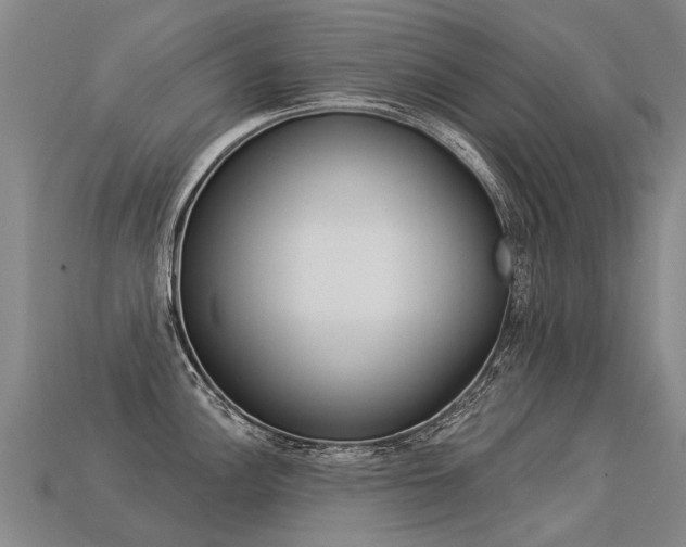 X0000113551148200909180954