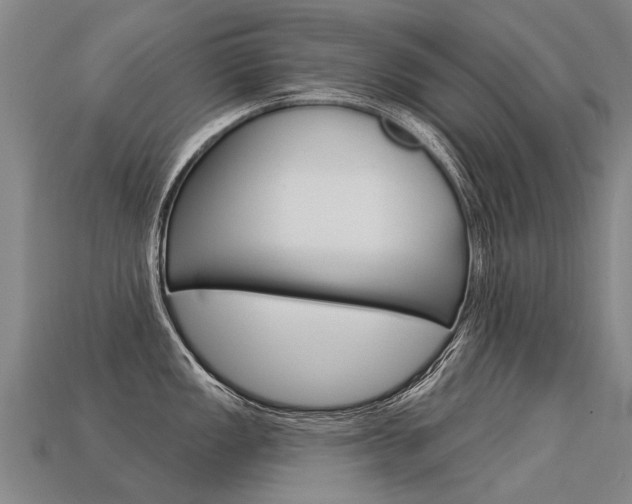 X0000113551149200909180954