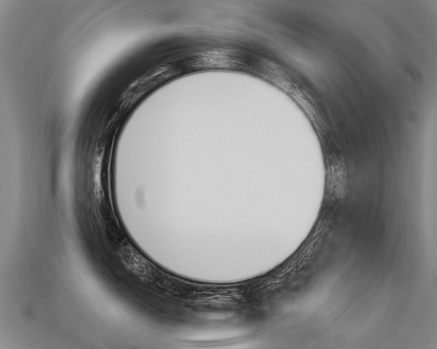 X0000113551150200909180954